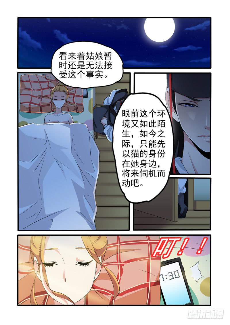 撿個肥貓變御貓 - 有人暗中監視！ - 2