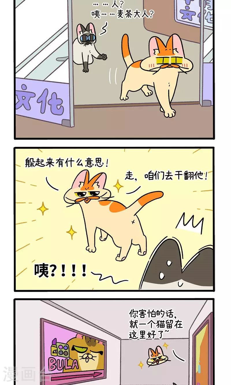 阿滿和麥茶 - 第68話2 走廊盡頭的恐怖雄性 - 2