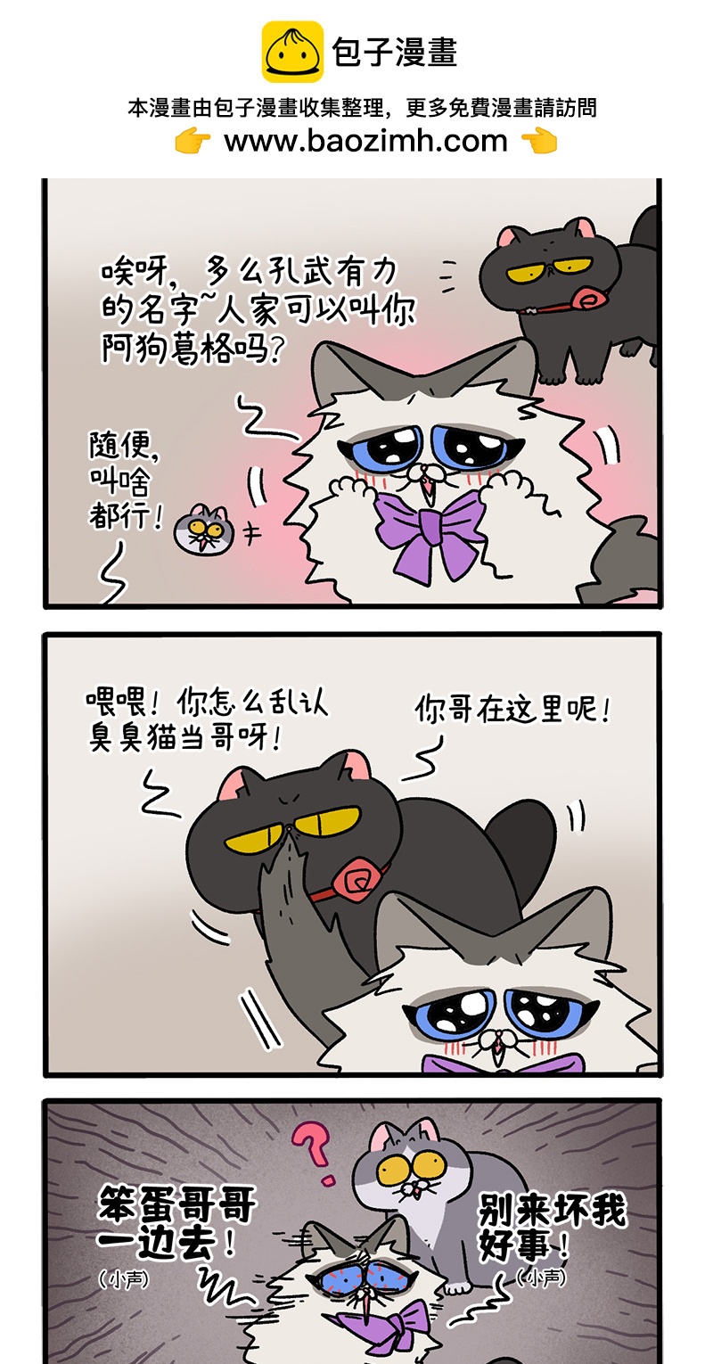 阿滿和麥茶 - 第100話2 從天而降的王子 - 2