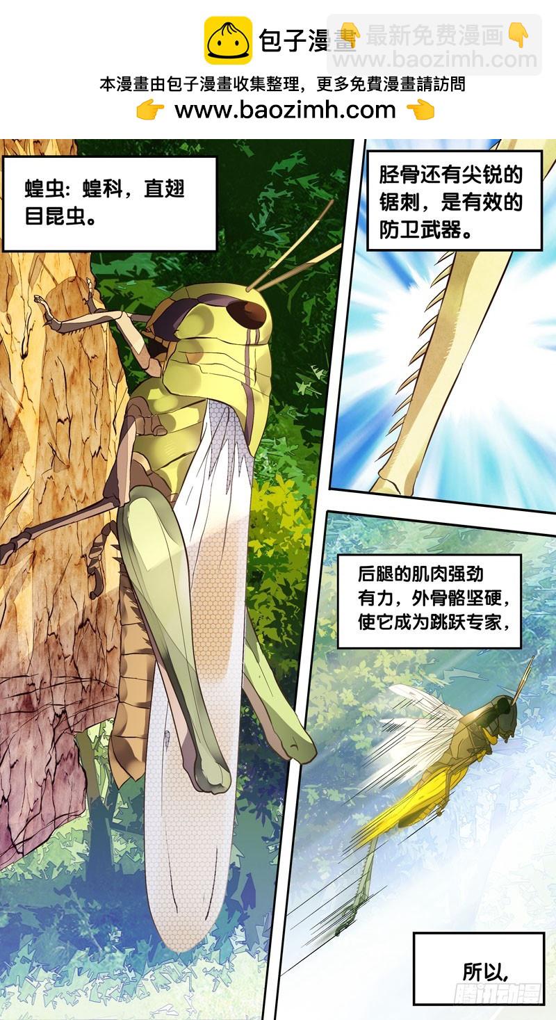 蟲生 - 3.蝗 - 2