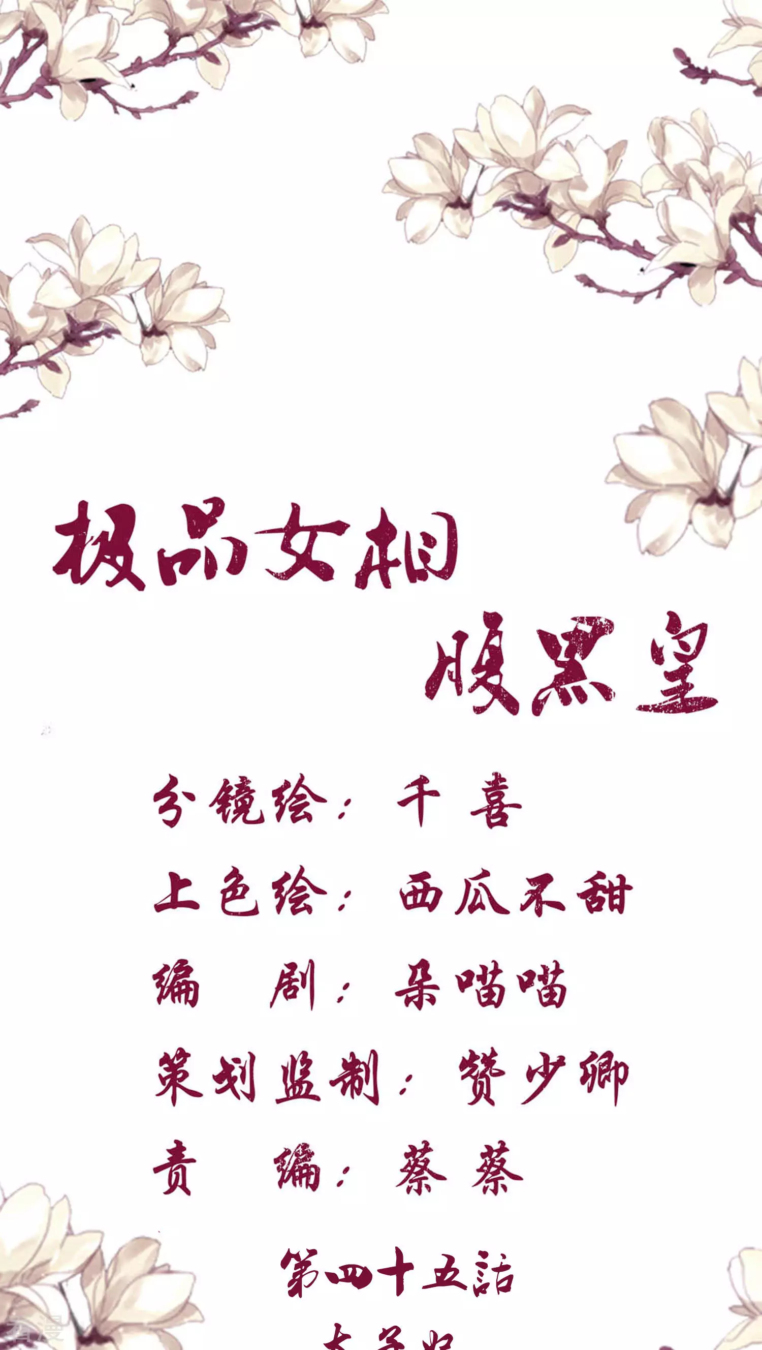 極品女相腹黑皇 - 第45話 太子妃 - 1