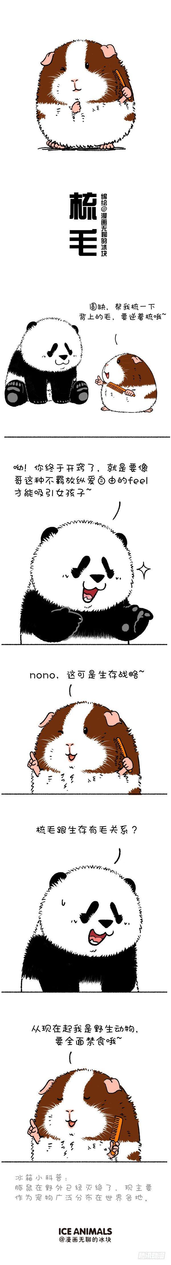快把動物放進冰箱 - 216原諒我這一生不羈放縱太可口 - 1