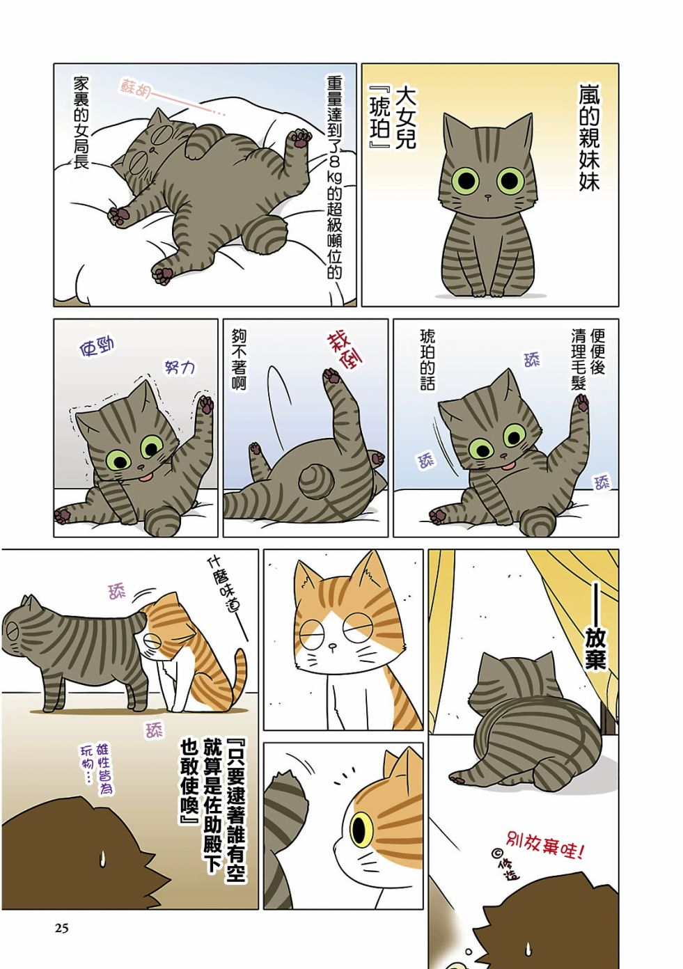 貓和我的日常 - 3話 - 3