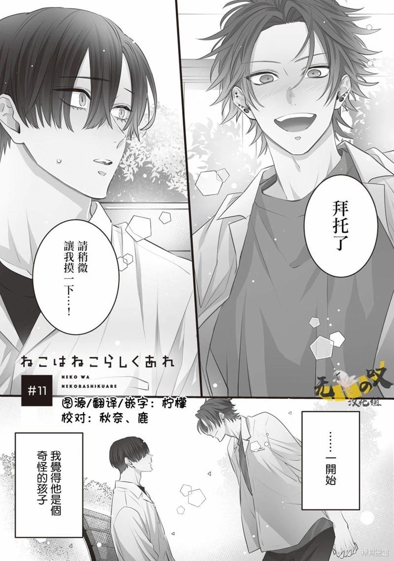 貓模貓樣 - 第11話 - 1