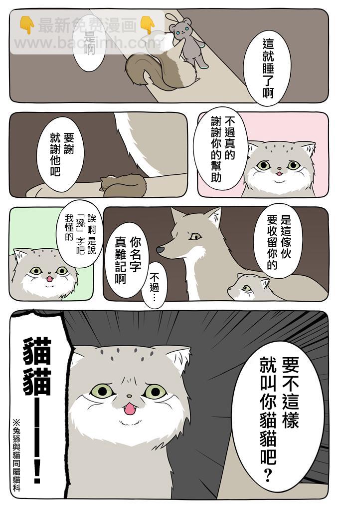 某日的郊狼和花栗鼠 - 17話 - 1