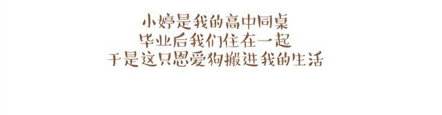 你不知道的故事 - 單身狗與恩愛狗日記 - 2