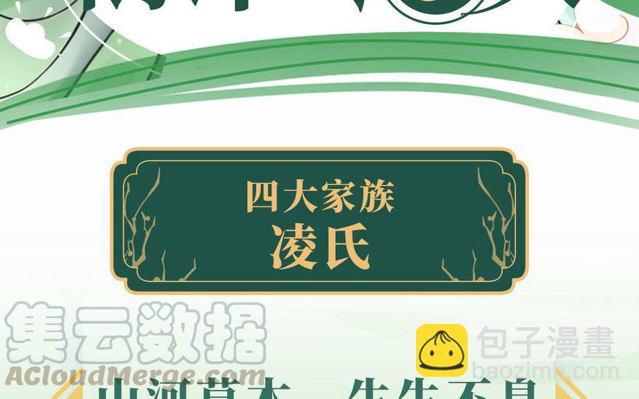 千金不換 - 四大家族人設揭秘：淩氏・凌雲木 - 3