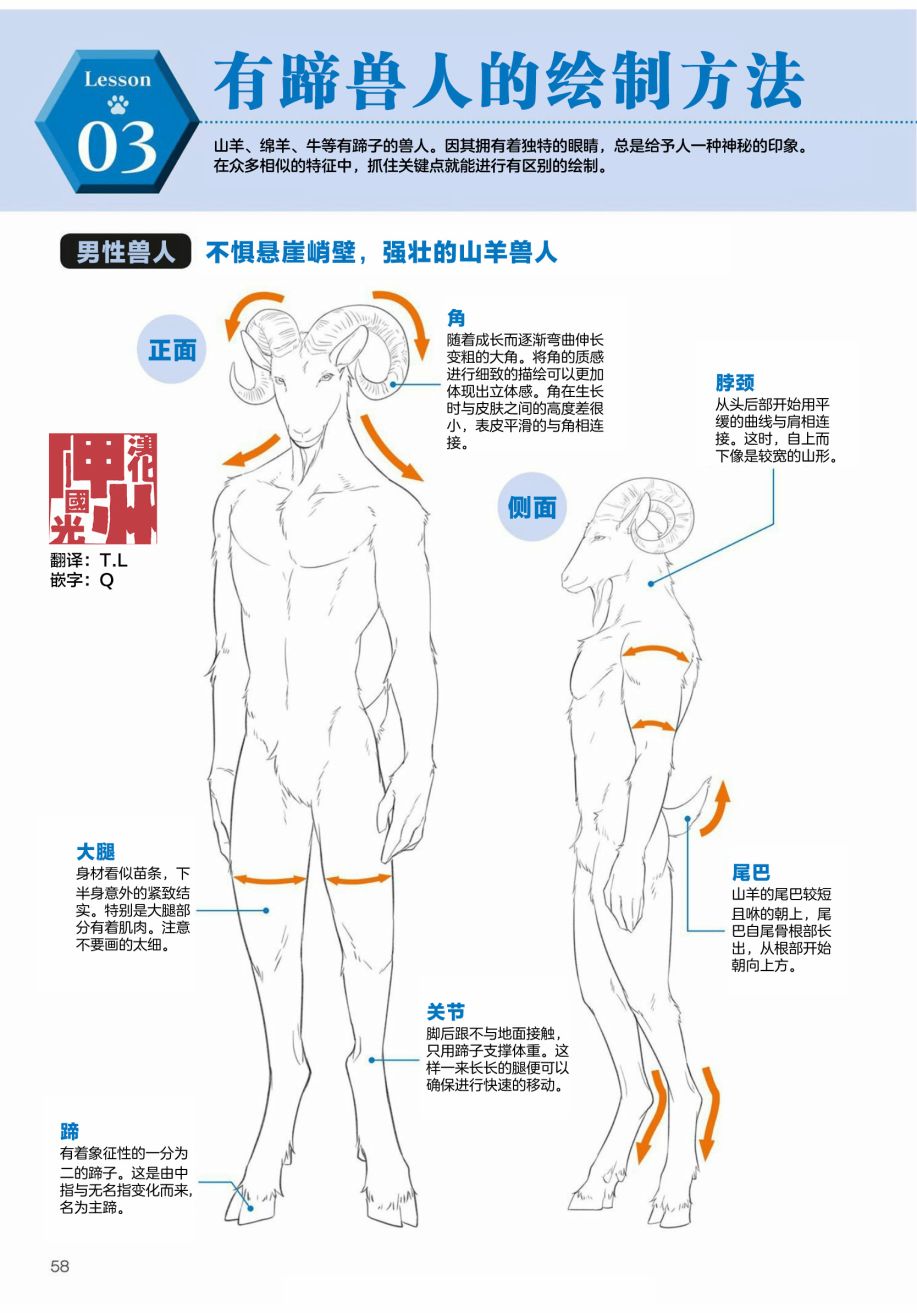 獸人的描繪方法 -從真實系獸人到抽象系獸人 - 第2.3話 陸上生物 有蹄類獸人的描繪方法 - 1