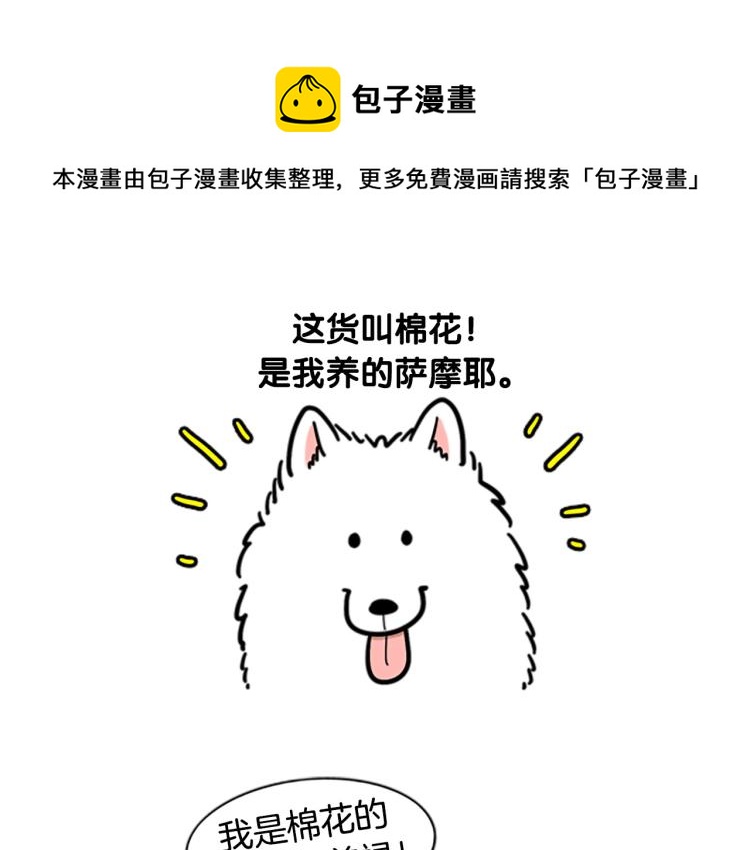 我的狗子叫棉花 - 序章 我有一隻薩摩耶 - 1