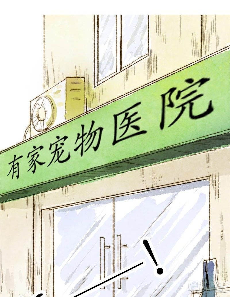 我家小哈有點二 - 孕吐 - 2