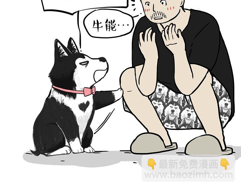 吾皇巴扎黑 - 第373話 都是因爲愛 - 3
