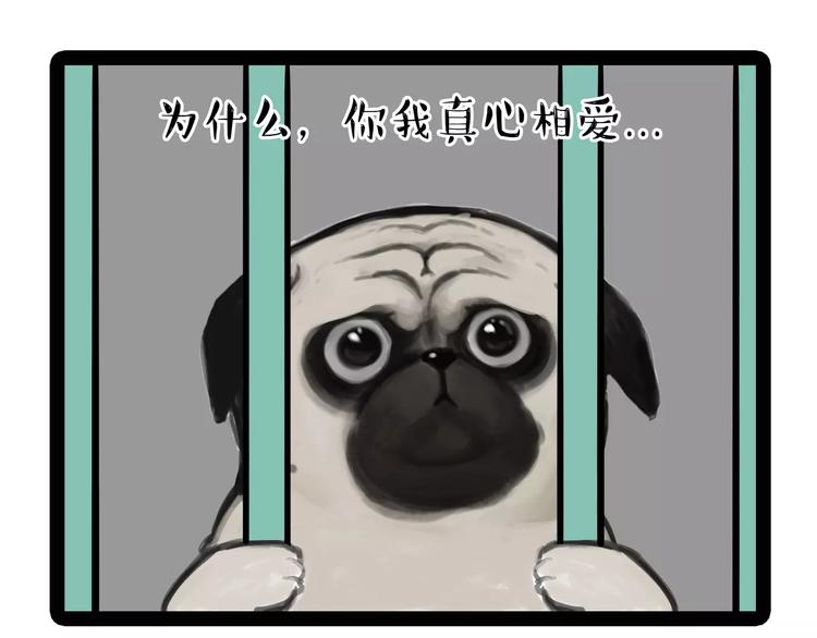 吾皇巴扎黑 - 第93話 越獄 - 1
