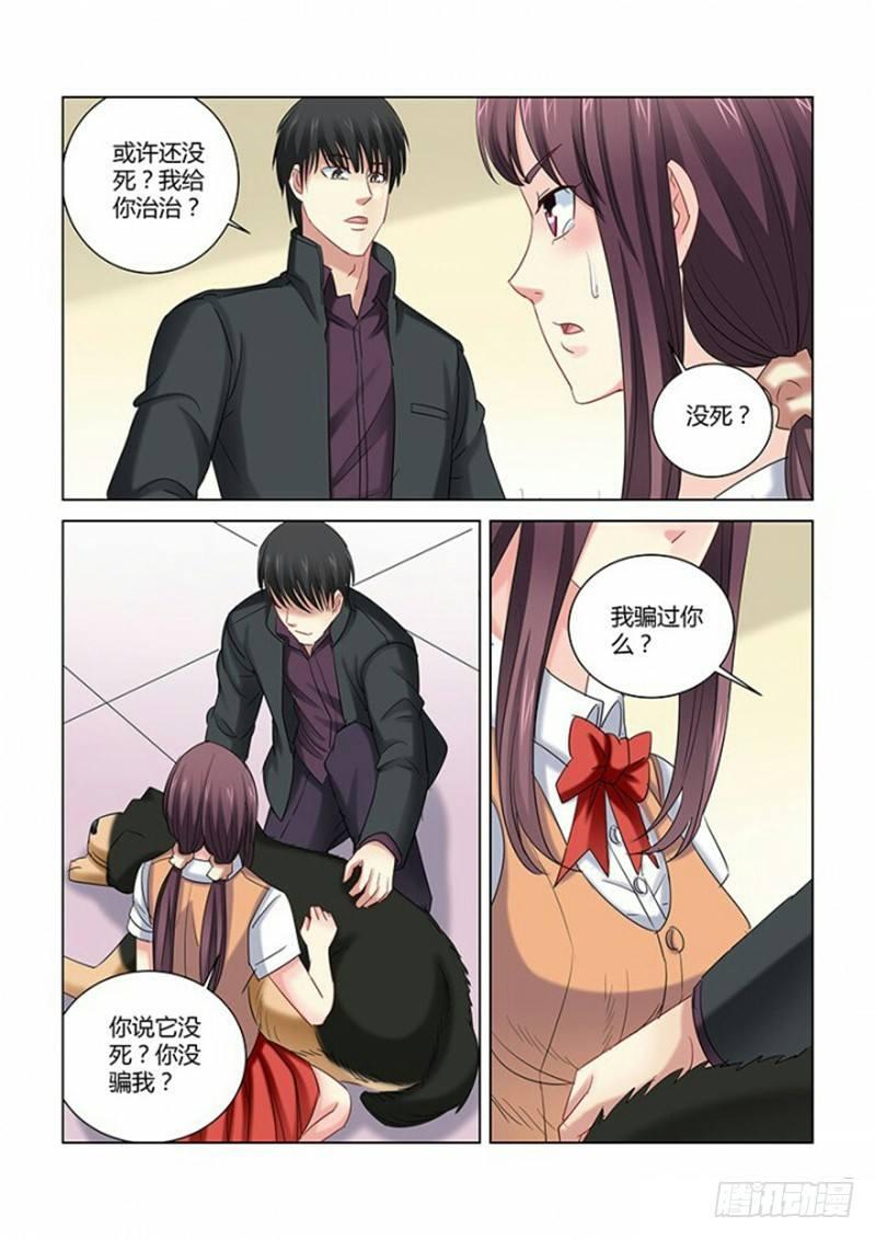 校花的貼身保鏢 - 第267話 - 1