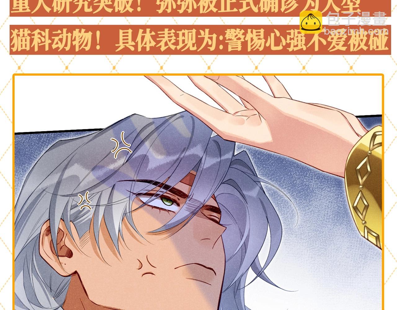 再见，我的国王 - 第46期 整活企划：弥弥被确诊为猫科动物！ - 1